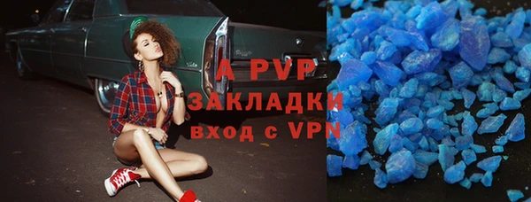 PSILOCYBIN Белокуриха