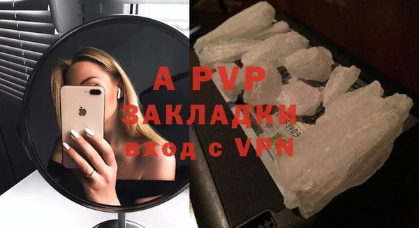 PSILOCYBIN Белокуриха