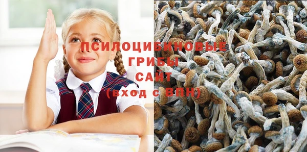 PSILOCYBIN Белокуриха