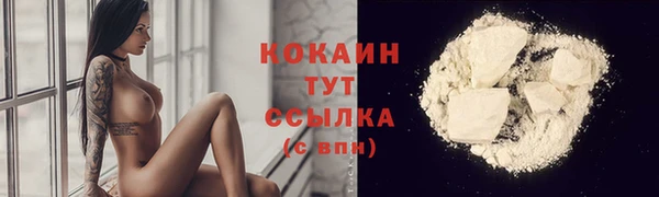 PSILOCYBIN Белокуриха