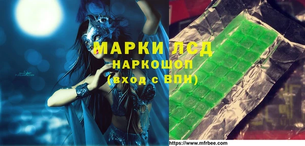 PSILOCYBIN Белокуриха