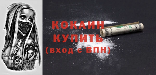 PSILOCYBIN Белокуриха