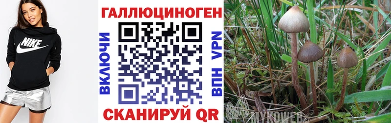 Псилоцибиновые грибы мухоморы  мега сайт  Ворсма  купить наркоту 